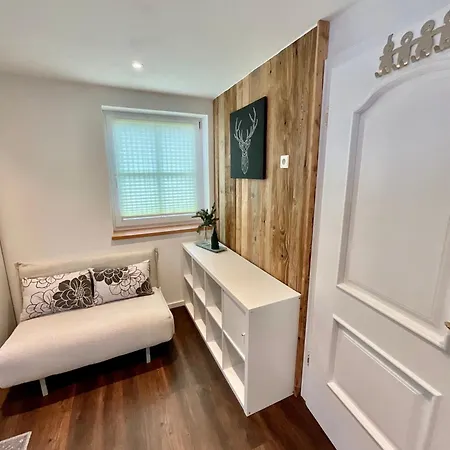 Bergretter Ramsau am Dachstein